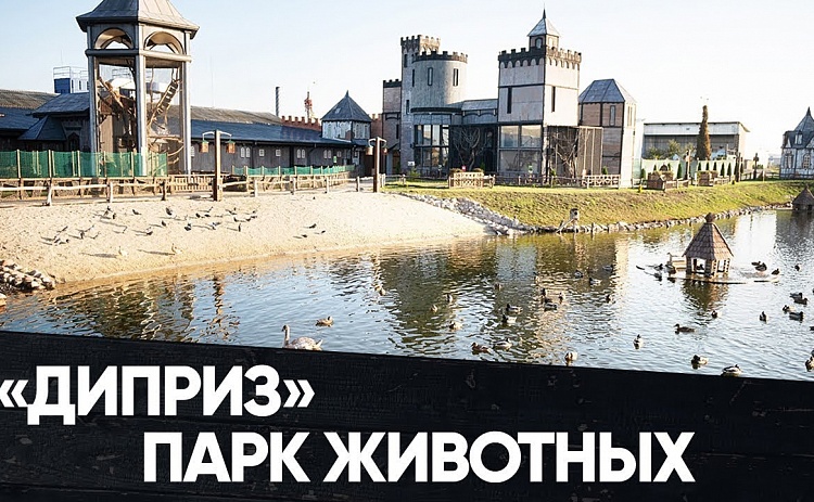 090f1d3b3ae8e8208ea12b5bc13f6f43 ВЫХОДНЫЕ В БАРАНОВИЧАХ для всей семьи! Парк животных «ДИПРИЗ» — изображение 1