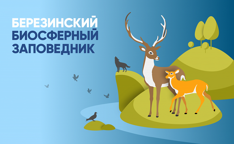 10e584d32d7205e64a131c397d5a5c76 Мир заповедной флоры и фауны — изображение 1